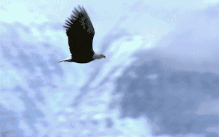 锡装股份：公司将关注核聚变市场动态业务拓展有不确定性